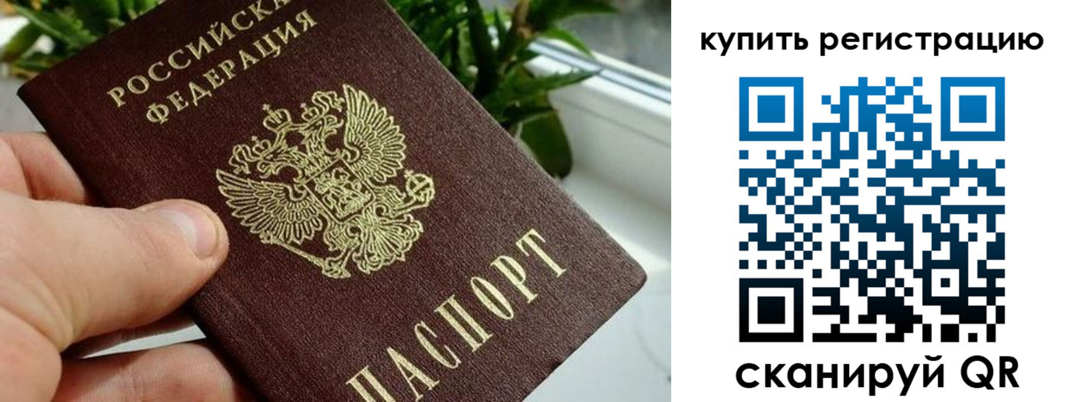 прописка гарантия в Сахалинской области